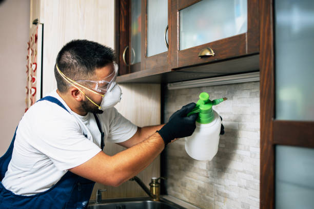 Best Bed Bug Extermination  in Patterson, LA