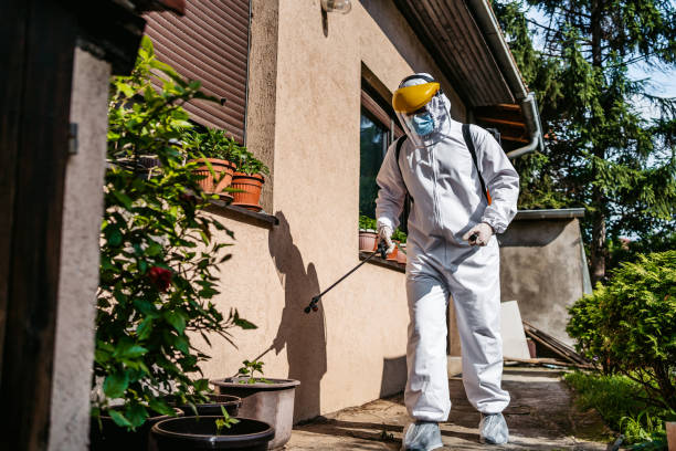 Best Local Pest Control Services  in Patterson, LA