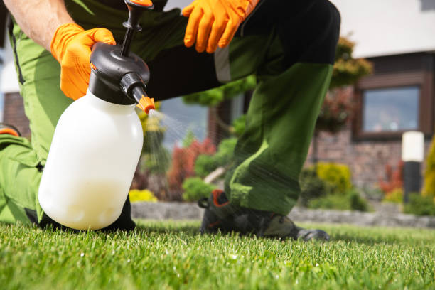 Best Exterminator Services  in Patterson, LA