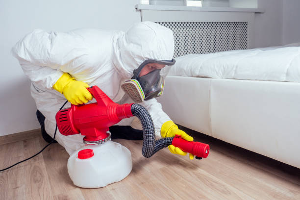 Best Cockroach Control Services  in Patterson, LA