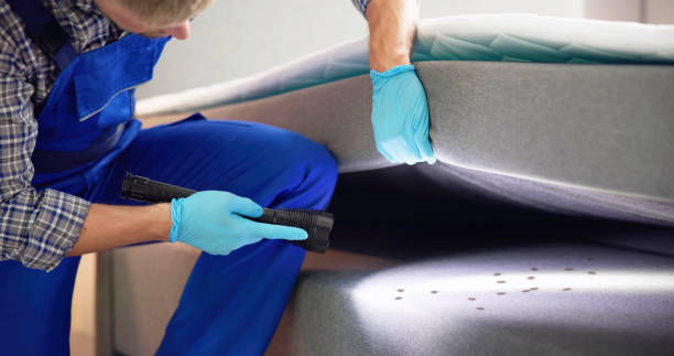 Professional Pest Control in Patterson, LA