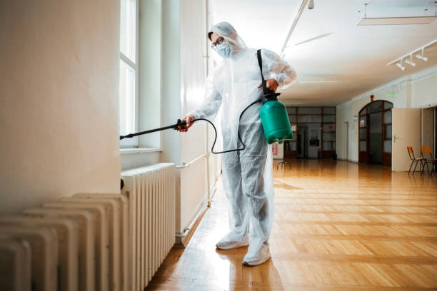 Best Residential Pest Control  in Patterson, LA