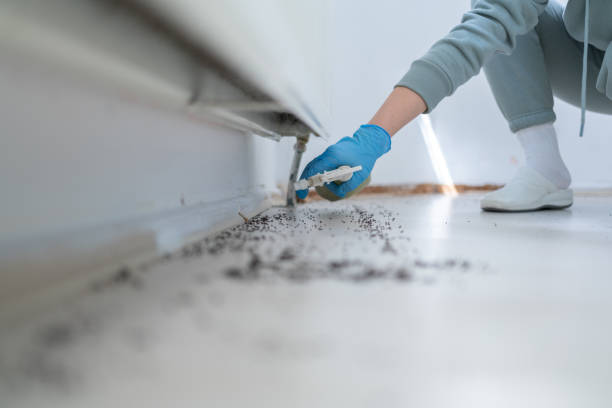 Best Commercial Pest Control Services  in Patterson, LA